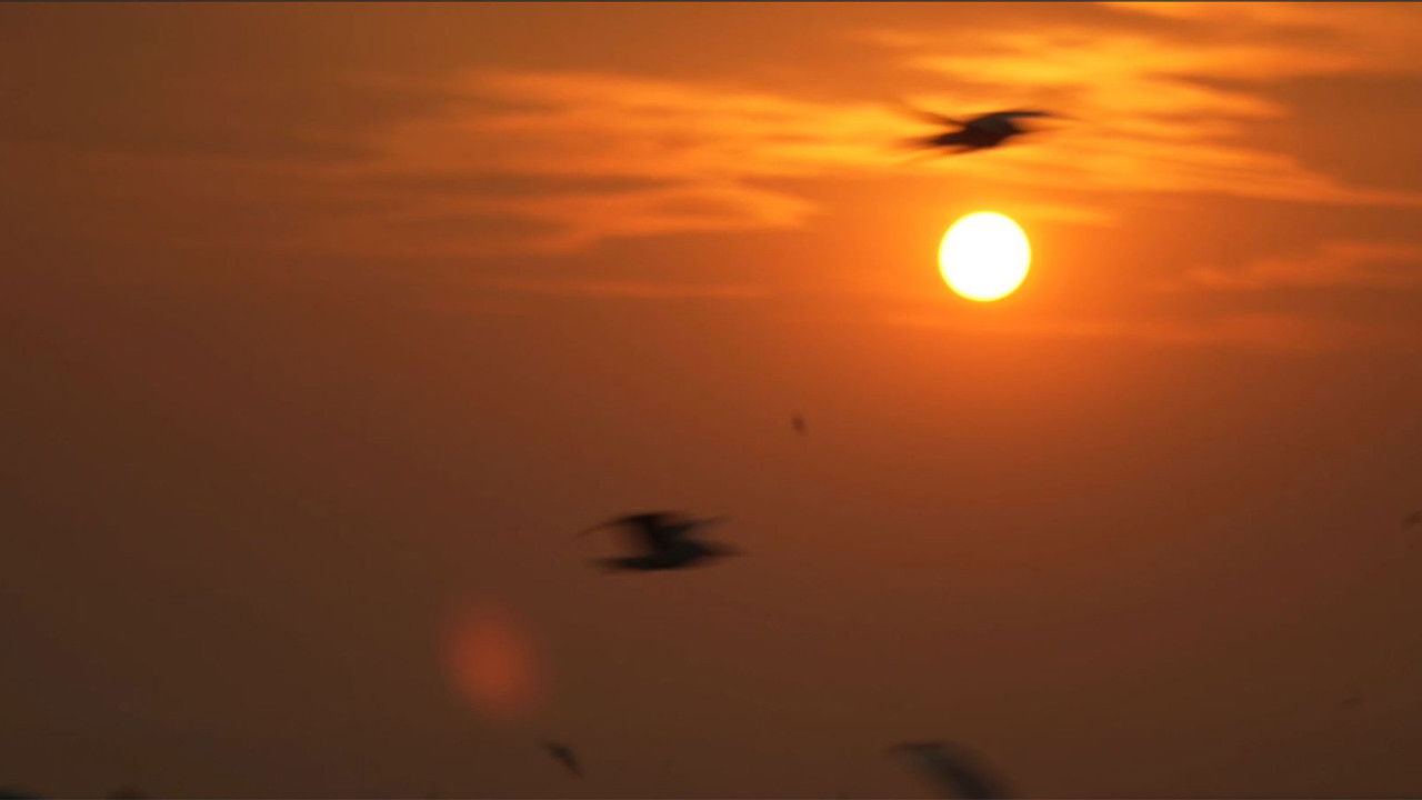 Sunset of Memory หลังอาทิตย์ตกแห่งความทรงจำ