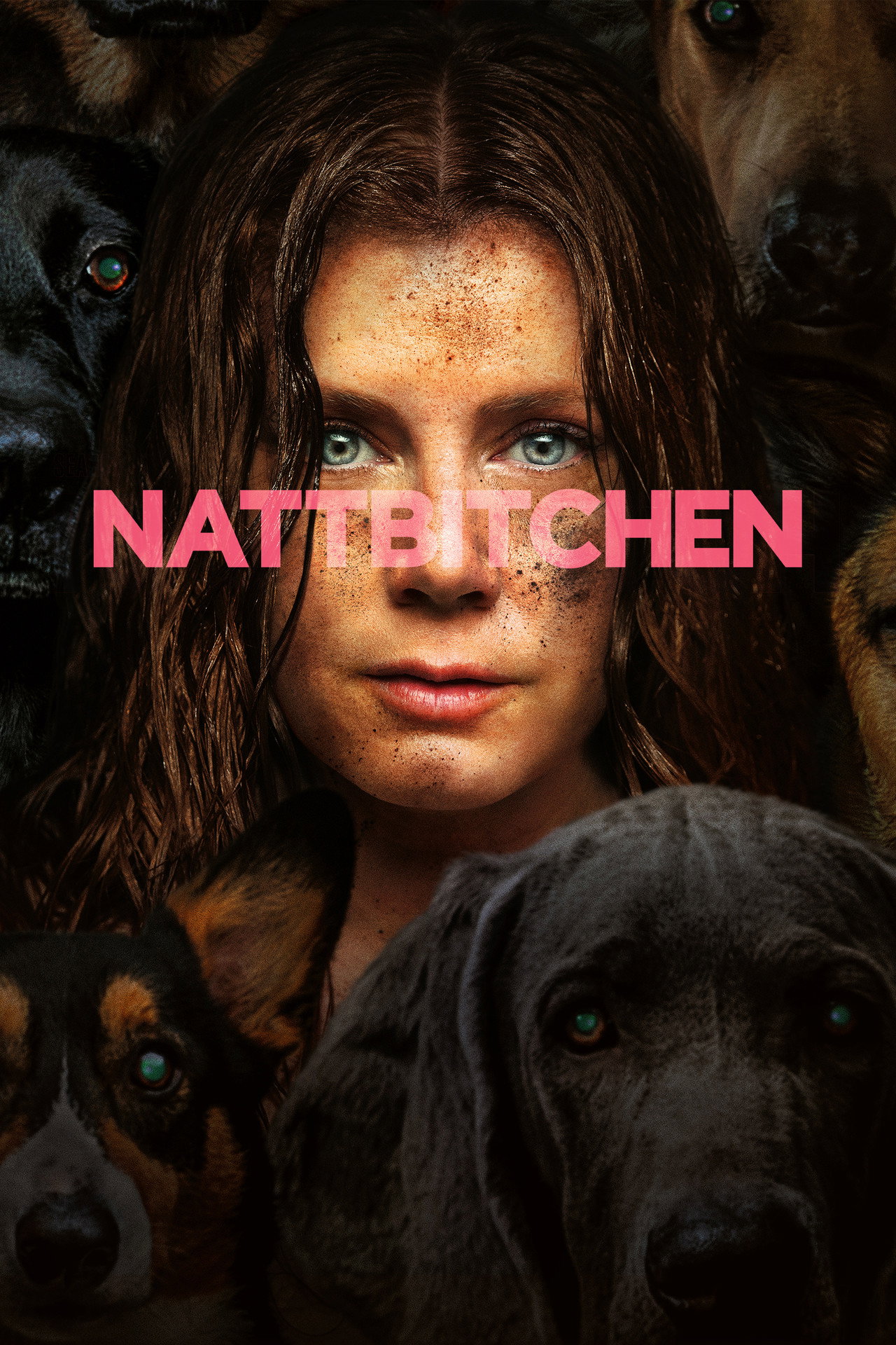 Nattbitchen filmaffisch