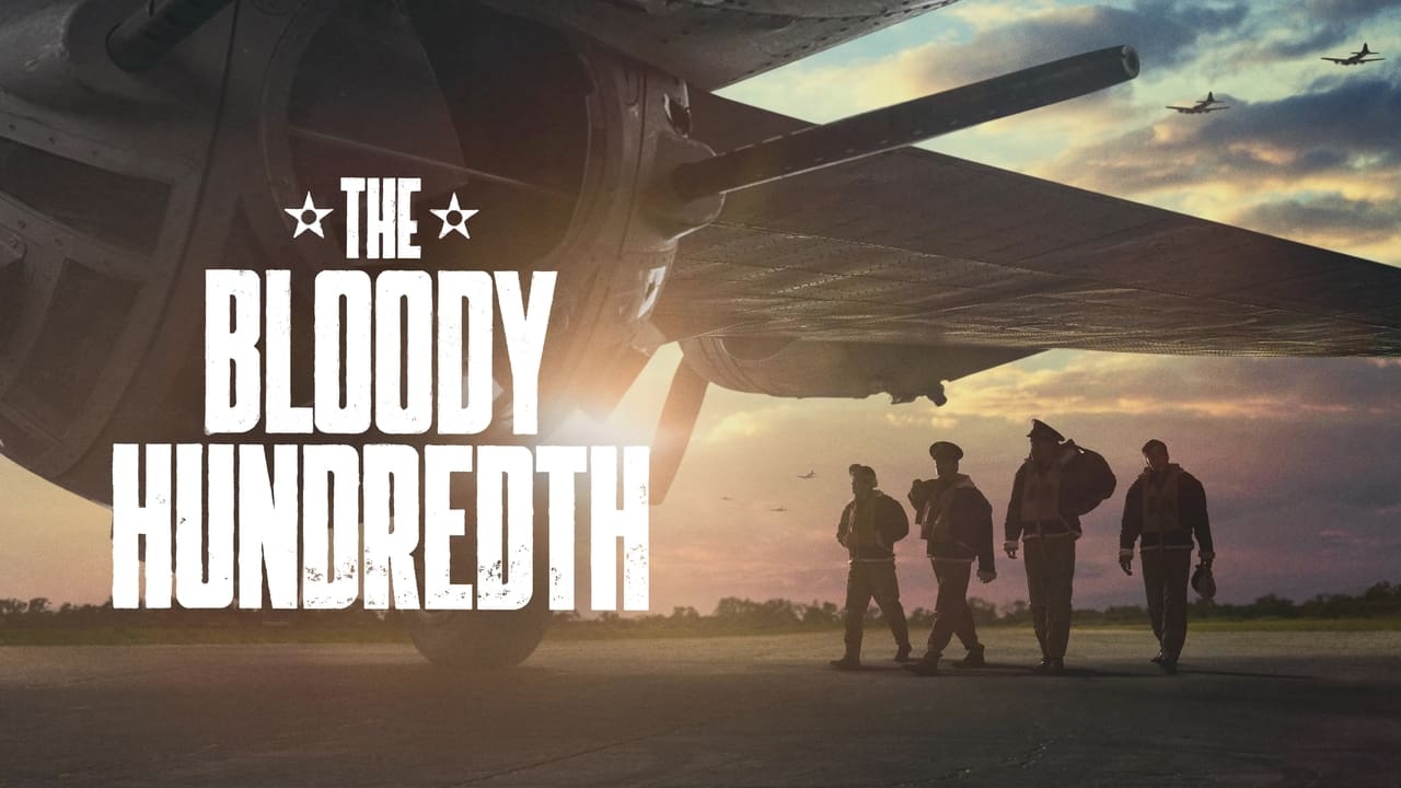 The Bloody Hundredth : la 100e escadre background