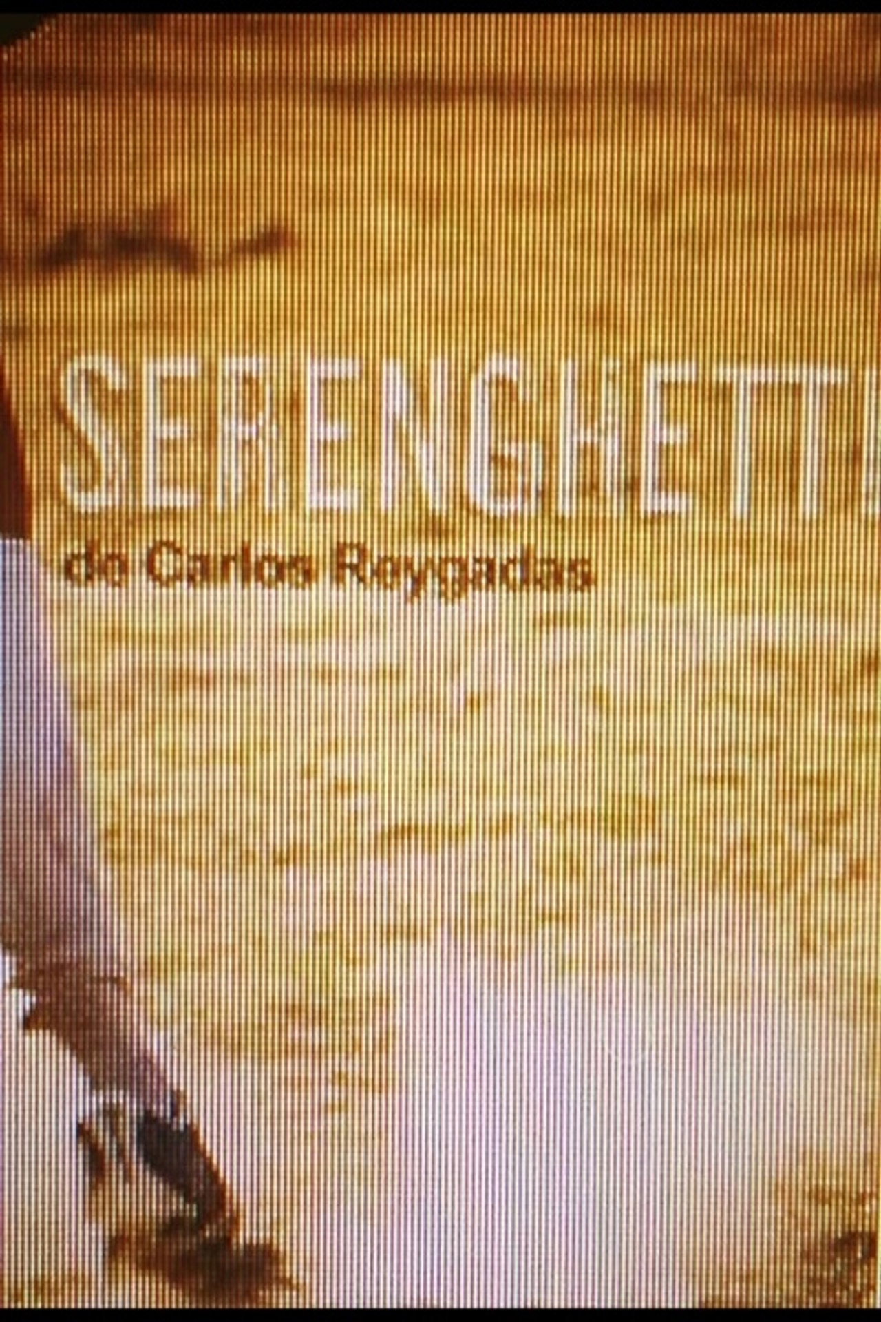 Serenghetti filmaffisch