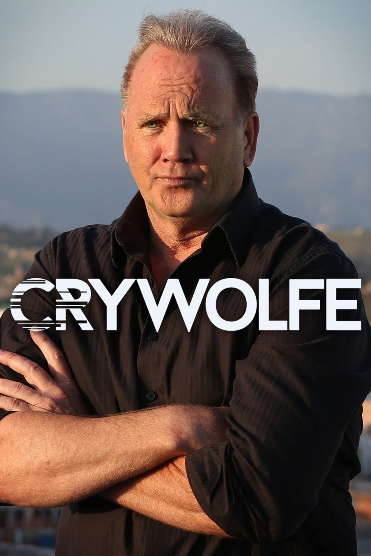 Poster Cry Wolfe