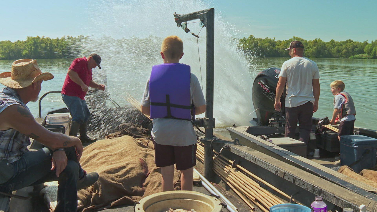 Swamp People - Season 15 Episode 12 : Bayou Bloodlines
