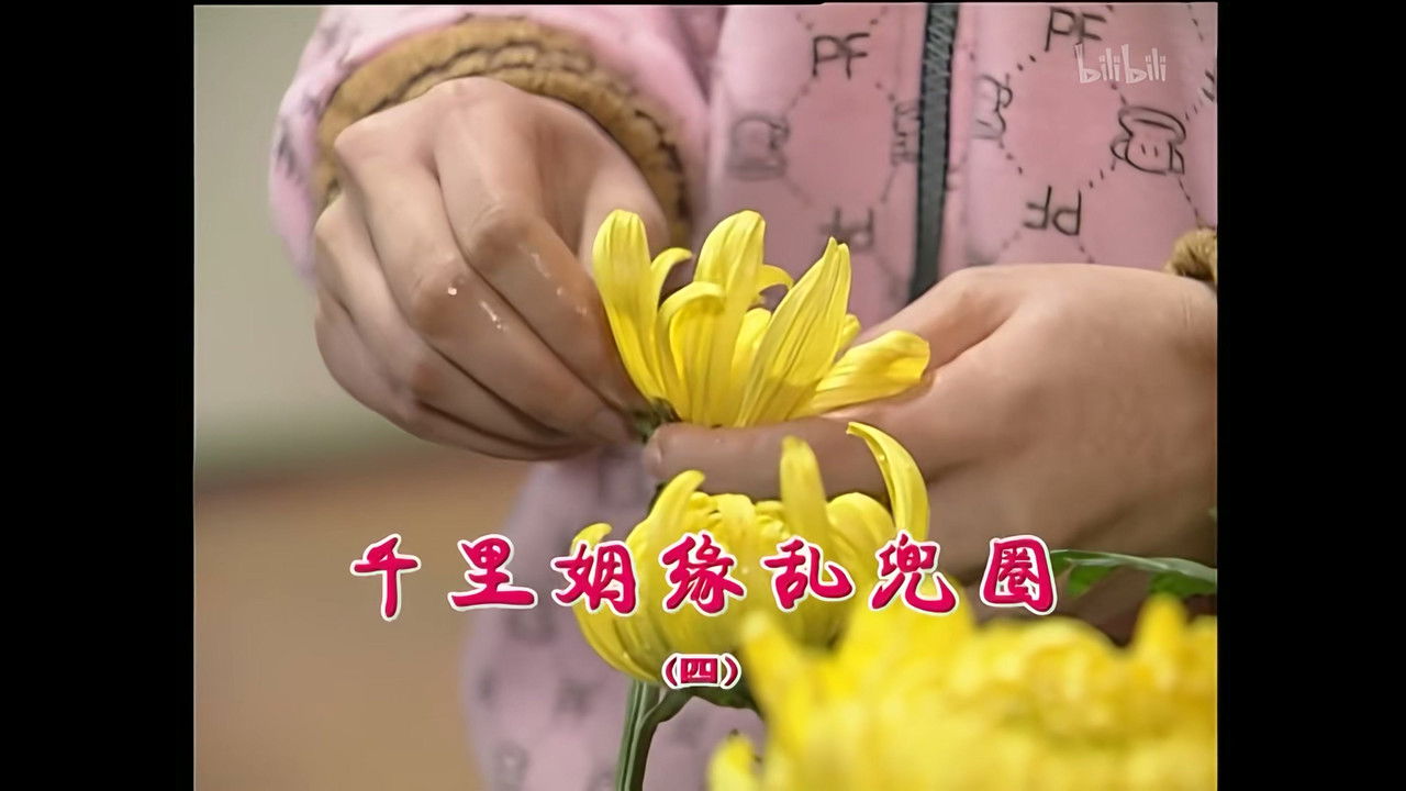 外来媳妇本地郎 — Épisode 1380