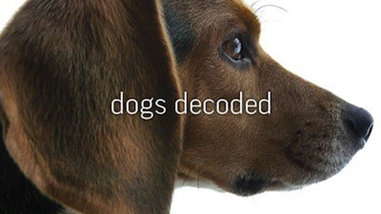 NOVA - Season 38 Episode 4 : Dogs Decoded