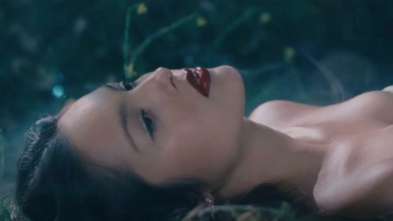 Cast and Crew of Vampire