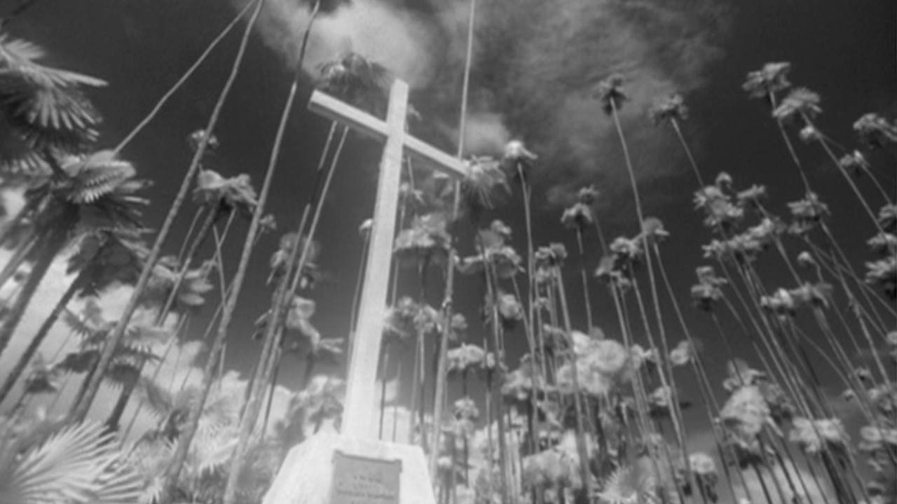 scenes 26