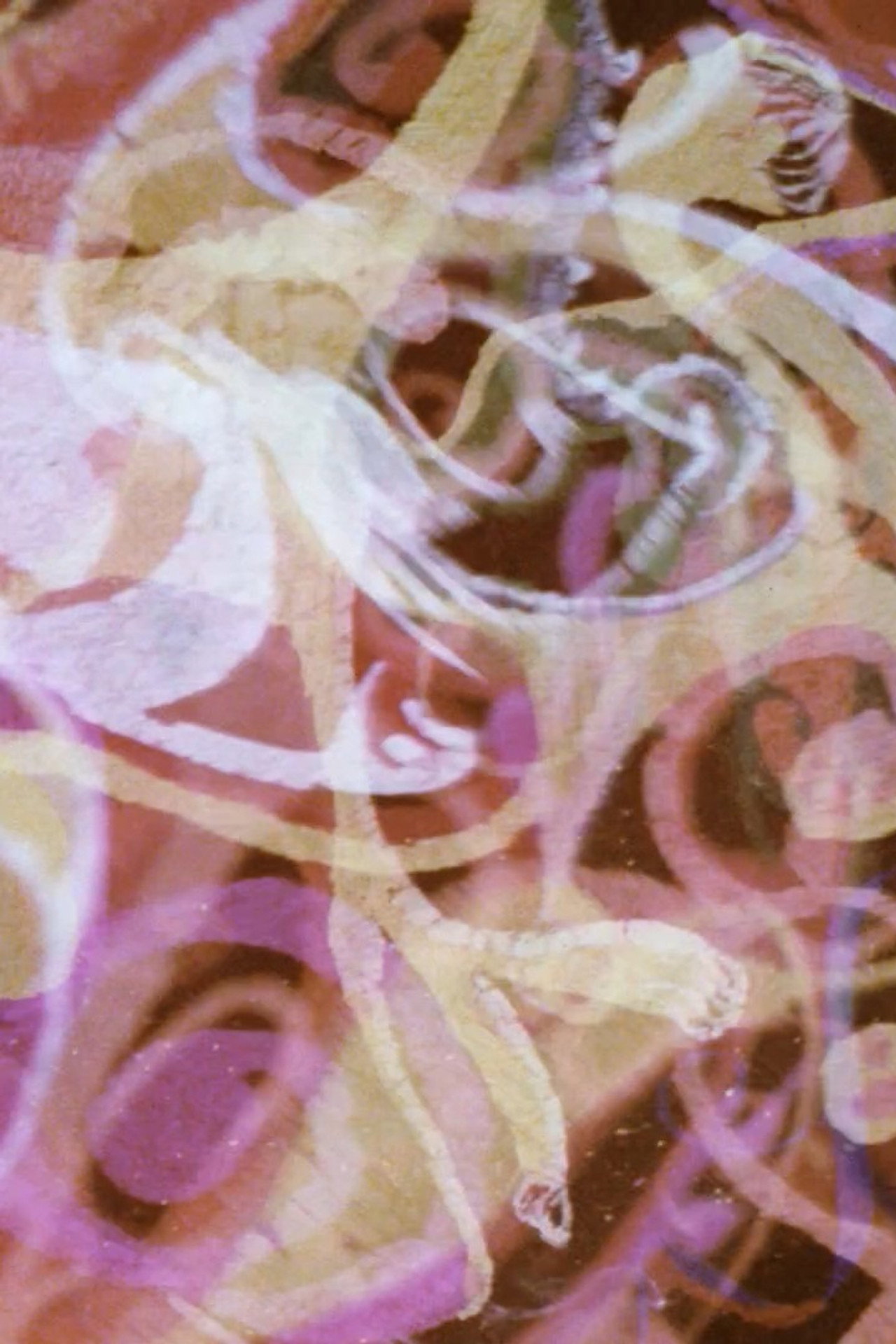 Psychedille filmaffisch