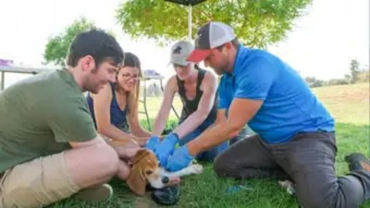 The Wizard of Paws - Season 5 Episode 10 : Derrick Versus L.A