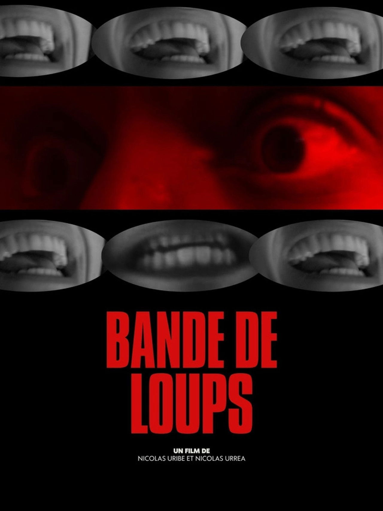 Bande de Loups Backdrop