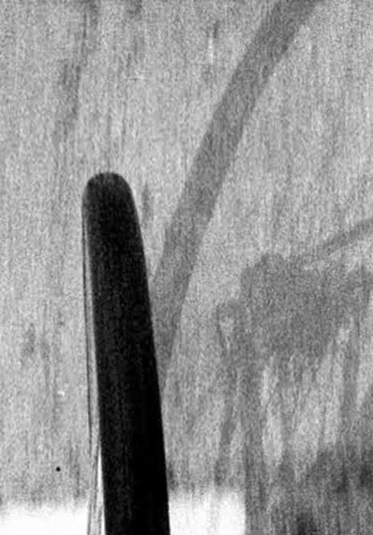 Cycle filmaffisch
