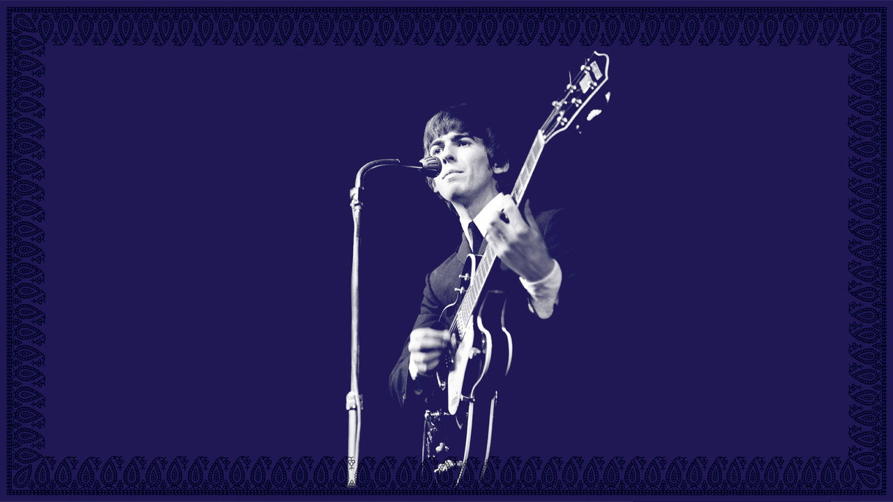 Concert for George still 8