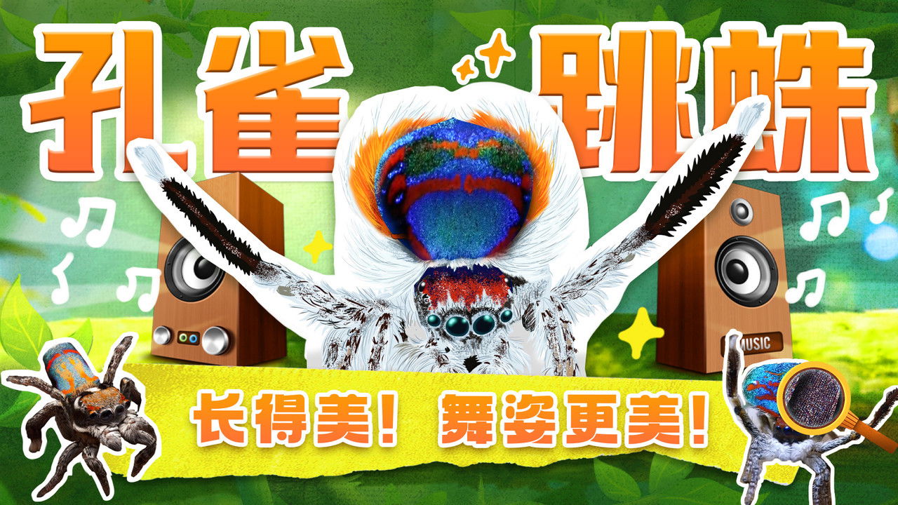 斑马百科探索 — Épisode 44