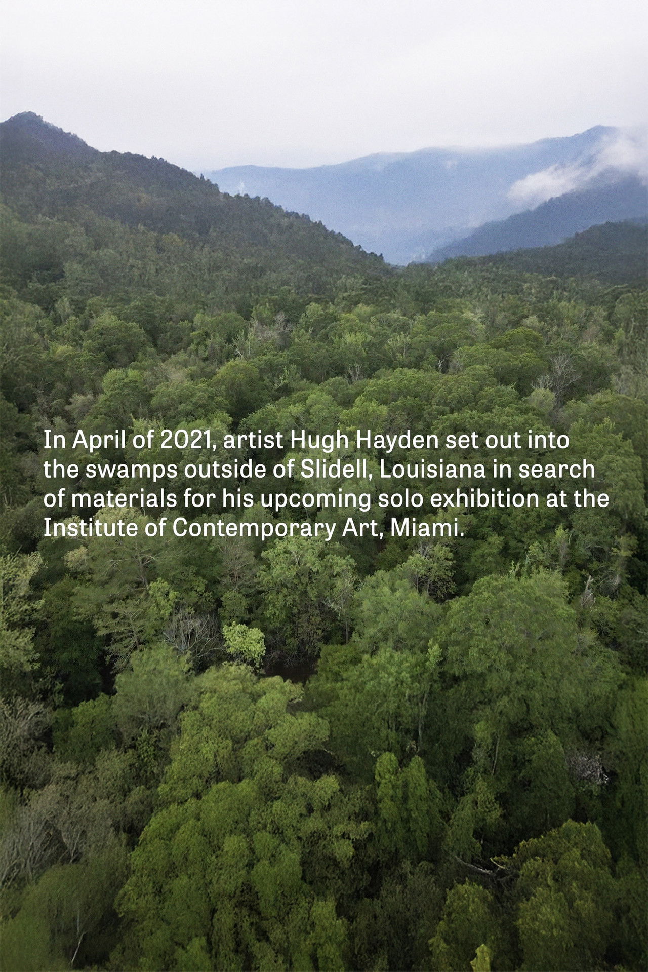 Hugh Hayden: Skeletons in the Swamp poster