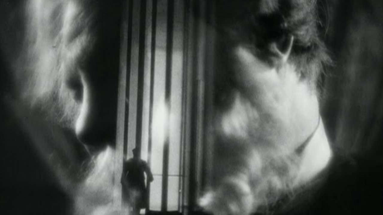 The Last Laugh (1924)
