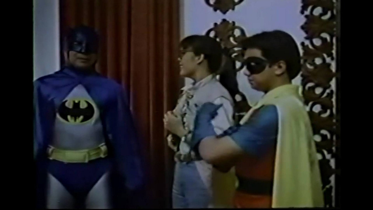 Alias Batman and Robin backdrop