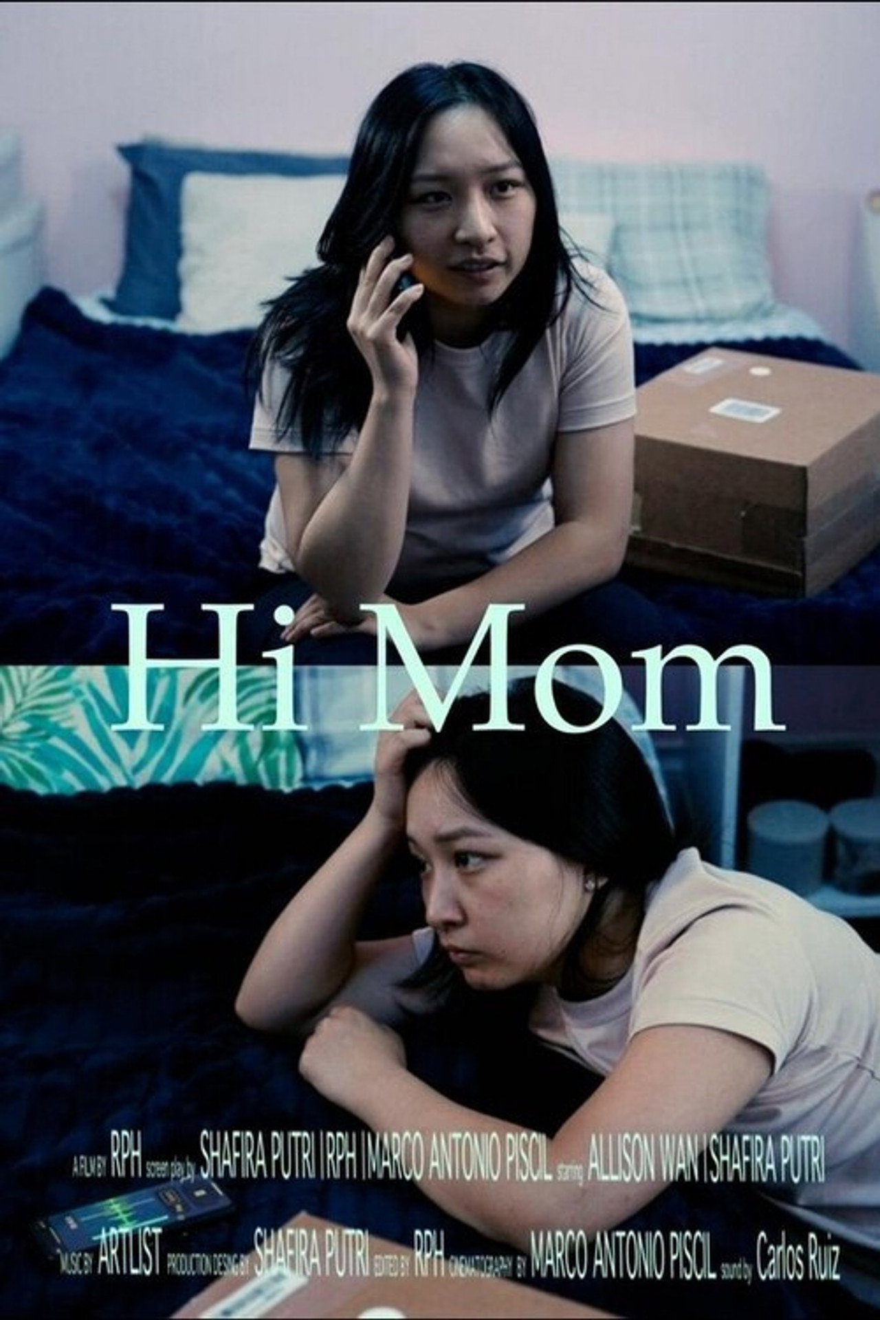 Hi Mom poster