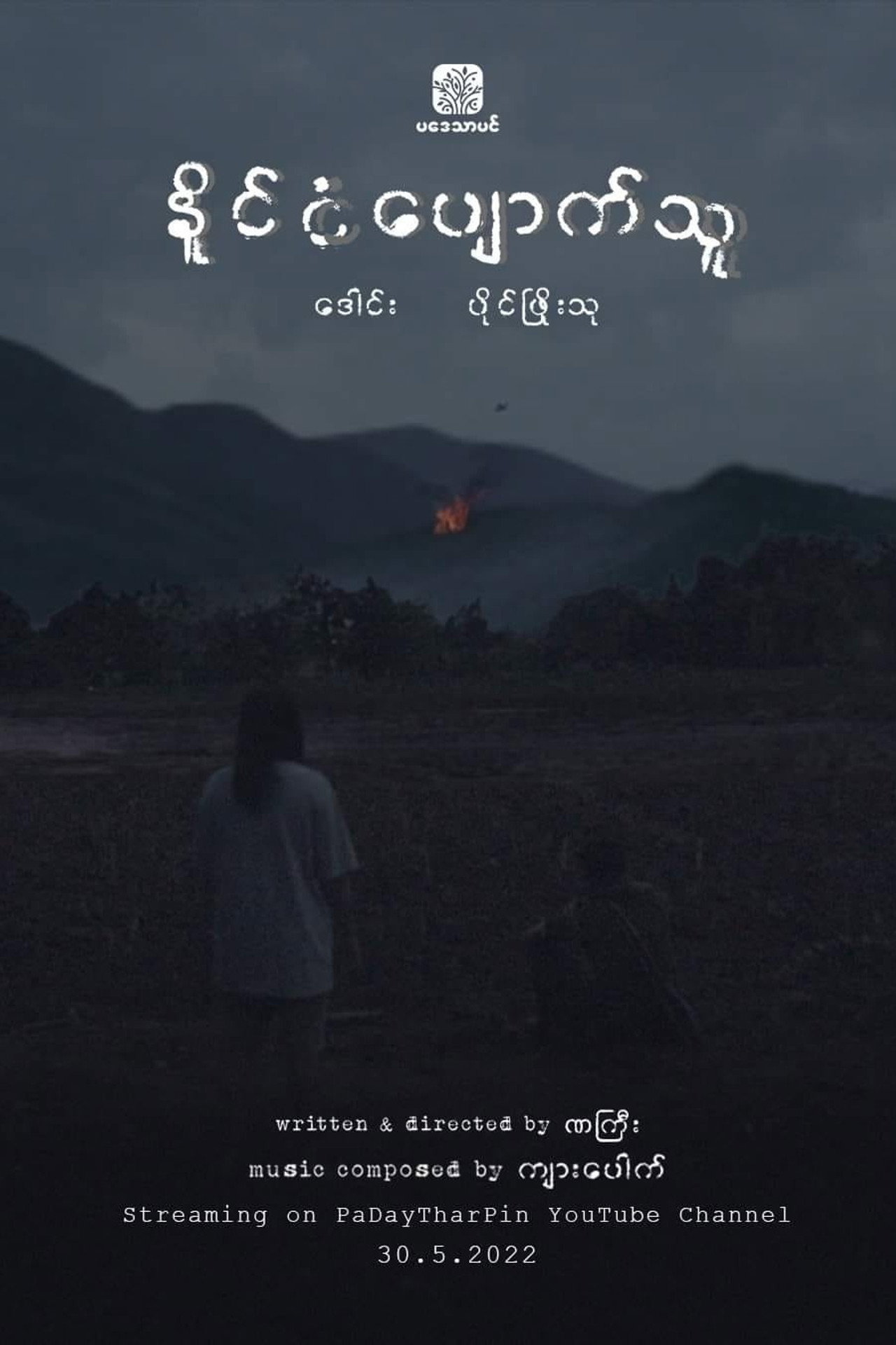 နိုင်ငံပျောက်သူ filmaffisch