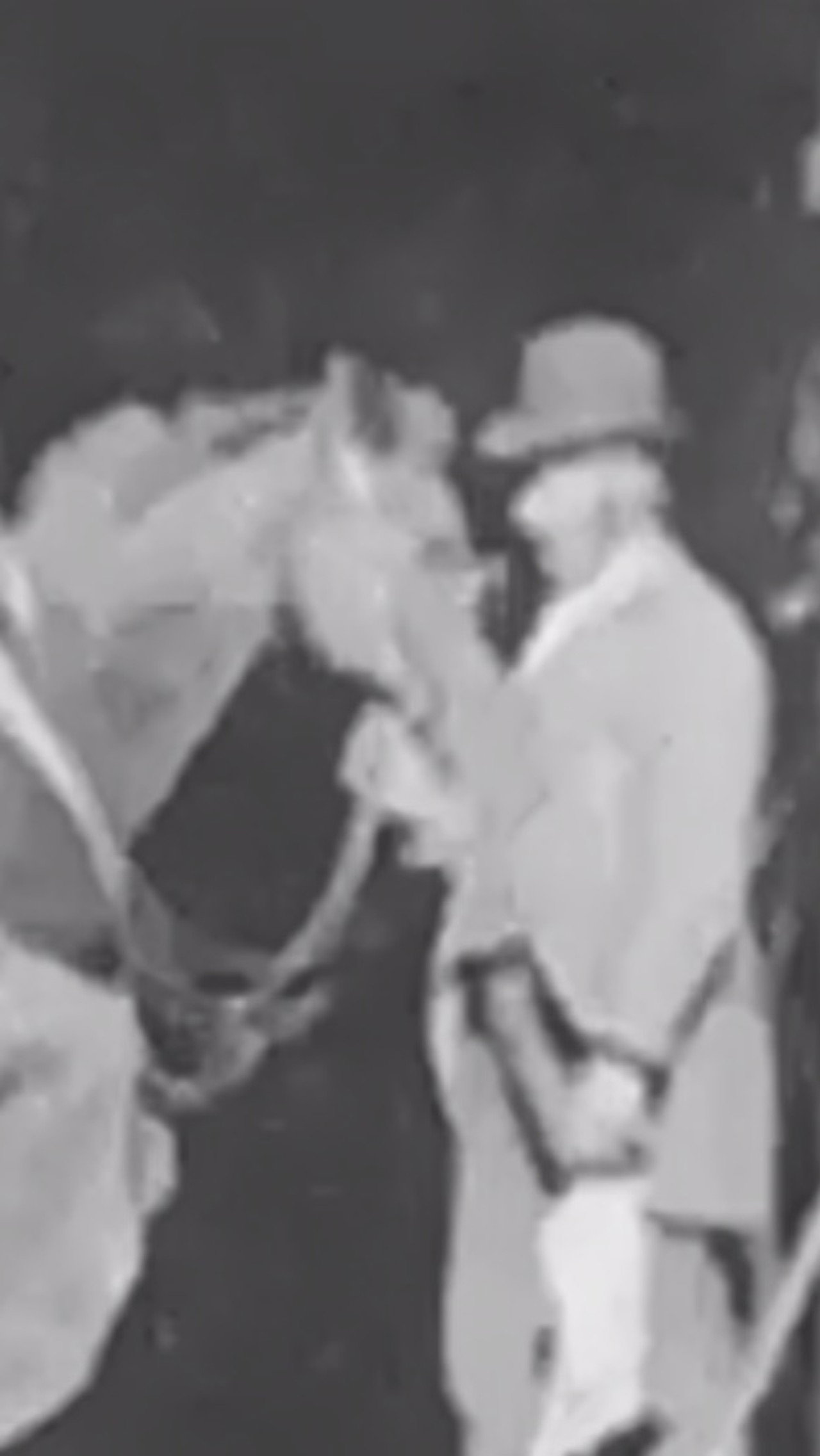 Horse Shoeing filmaffisch