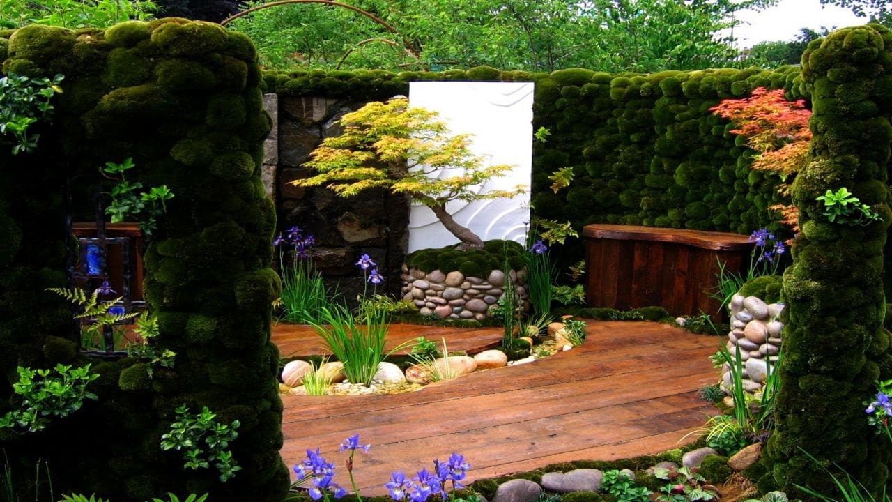 RHS Chelsea Flower Show background