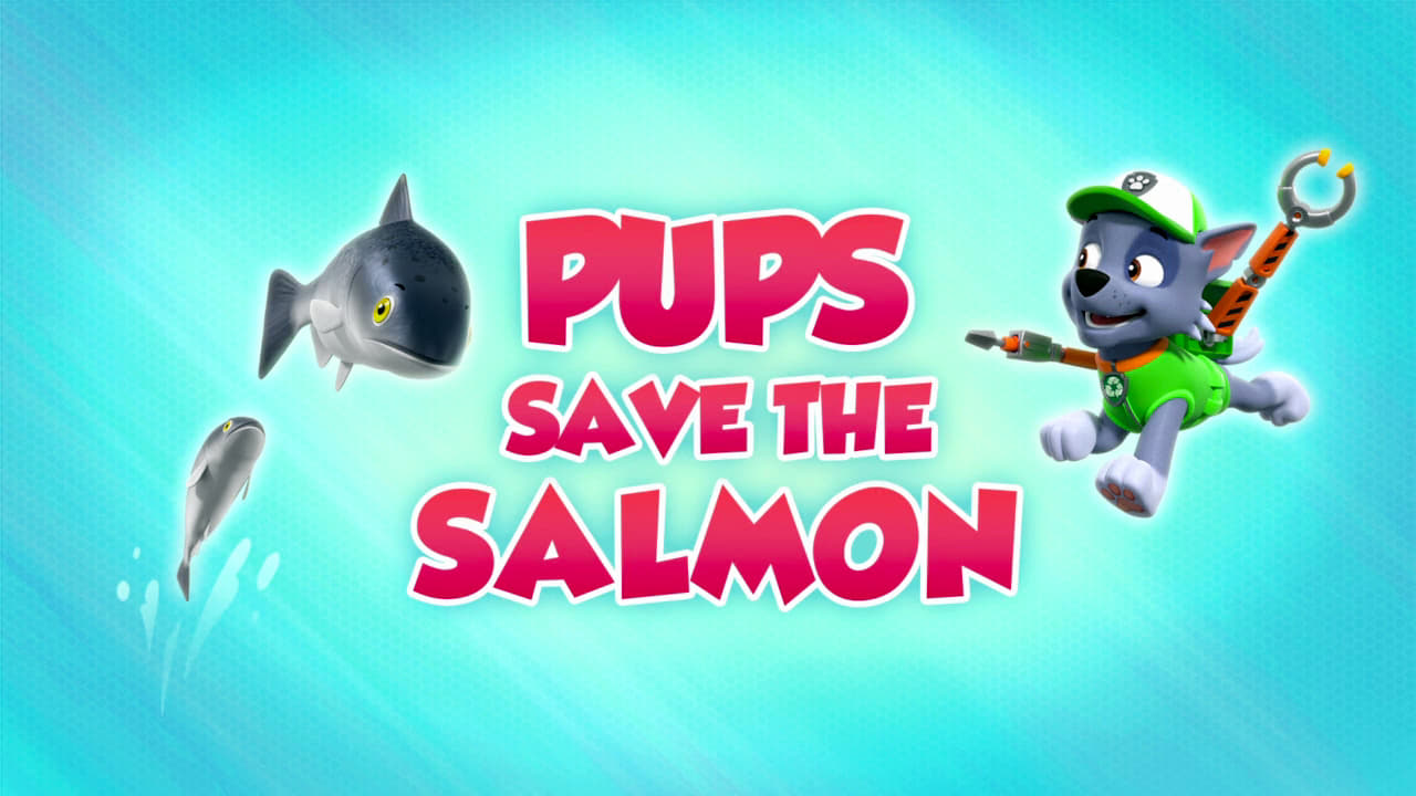 PAW Patrol - Season 8 Episode 17 : Pups Save the Salmon