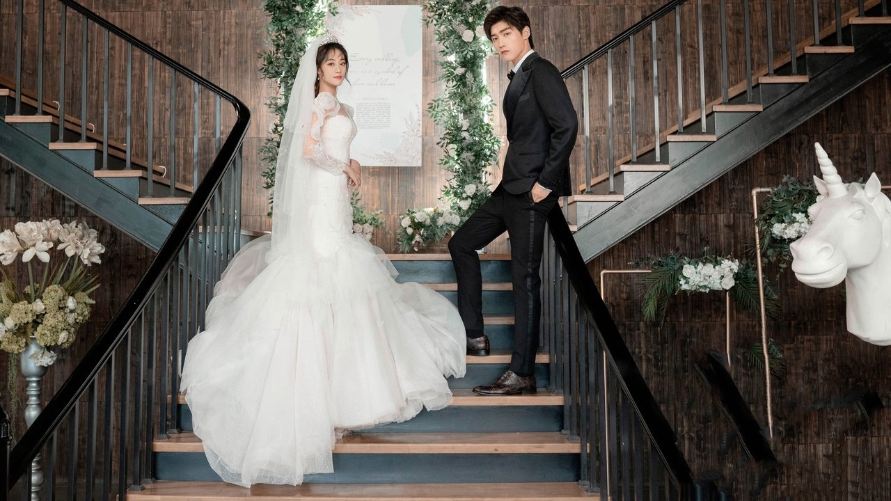 Cute Programmer background