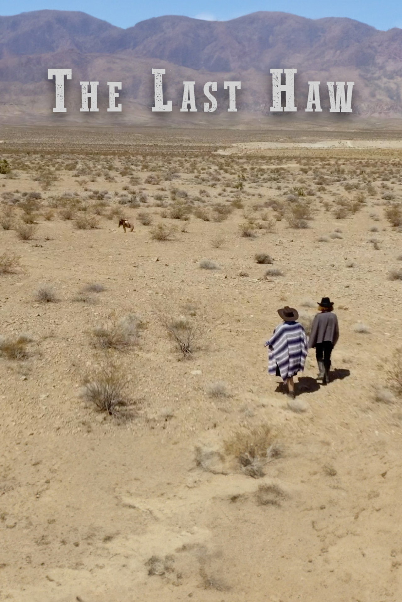 The Last Haw filmaffisch