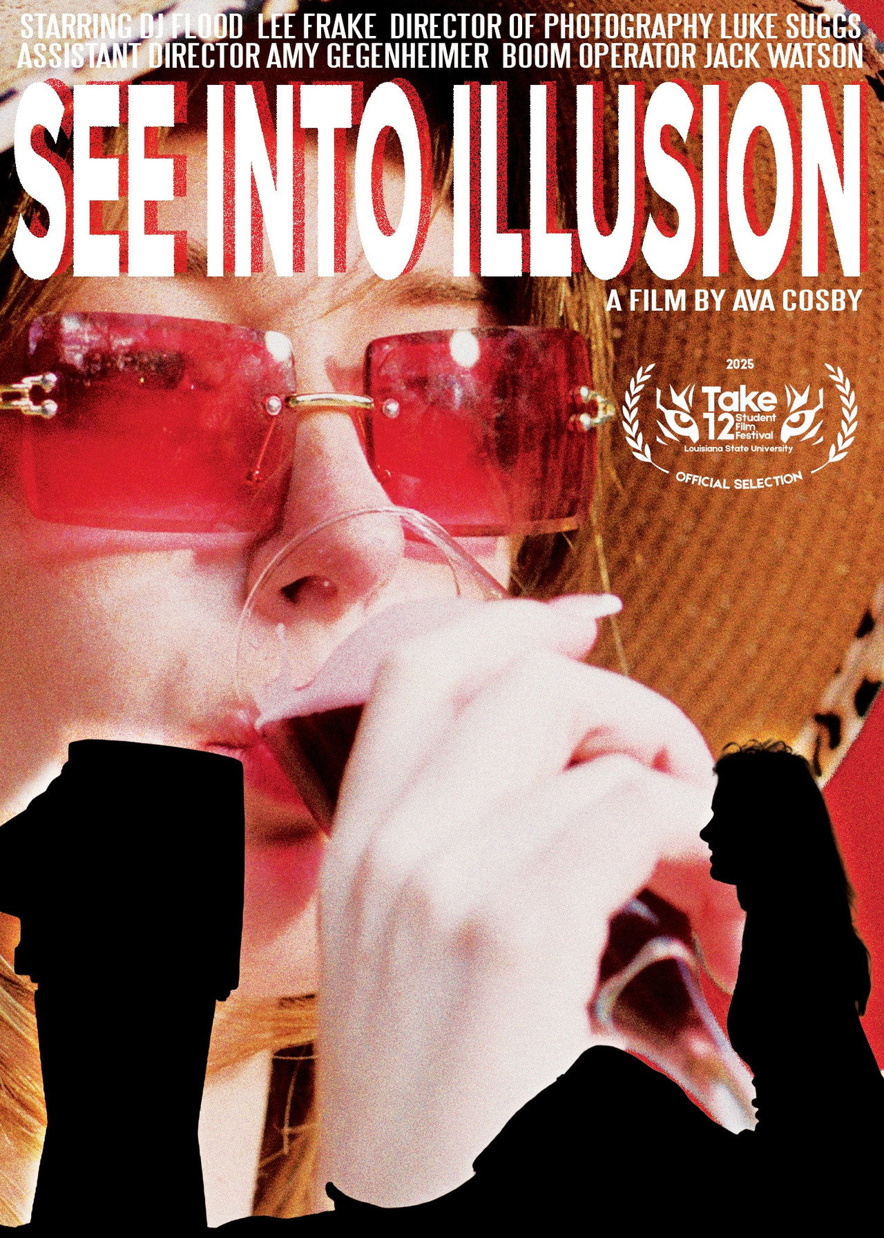 See Into Illusion filmaffisch