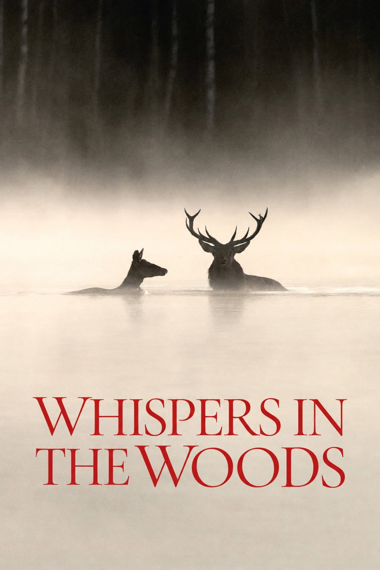 Whispers in the Woods