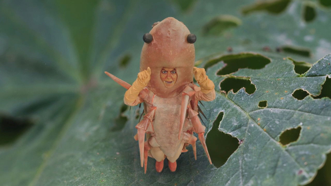 Fuet - Season 1 Episode 9 : Episode 9