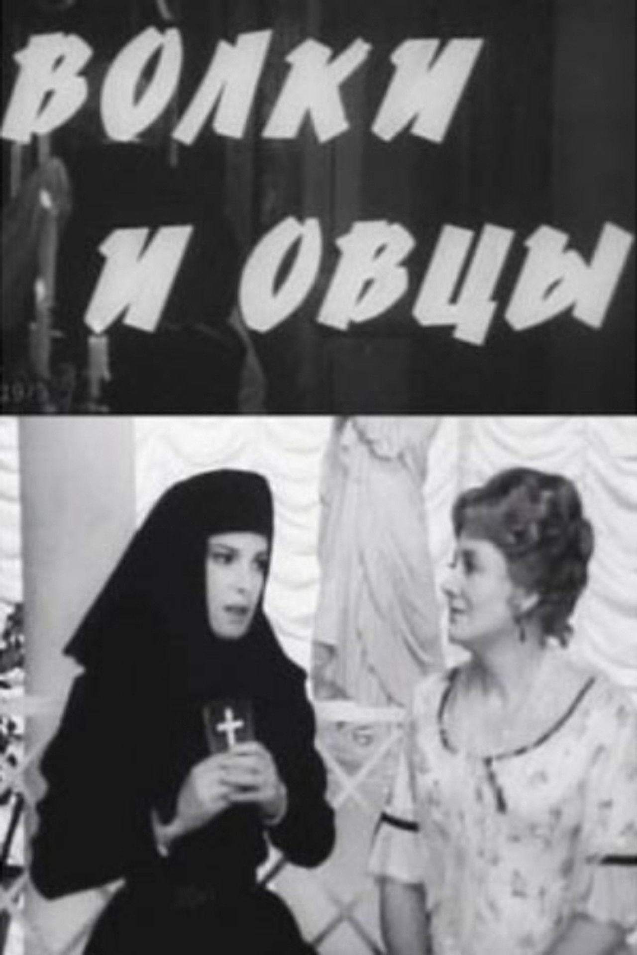 Wolves and Sheep Backdrop