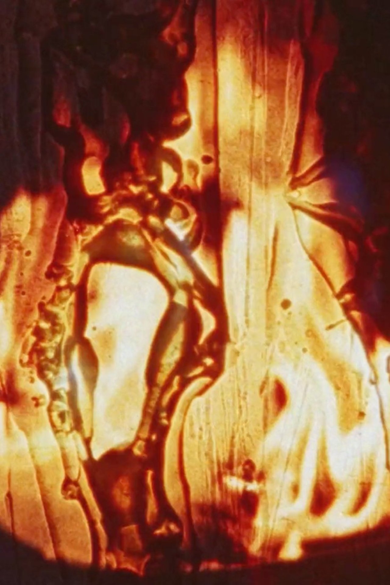 Recommendations image