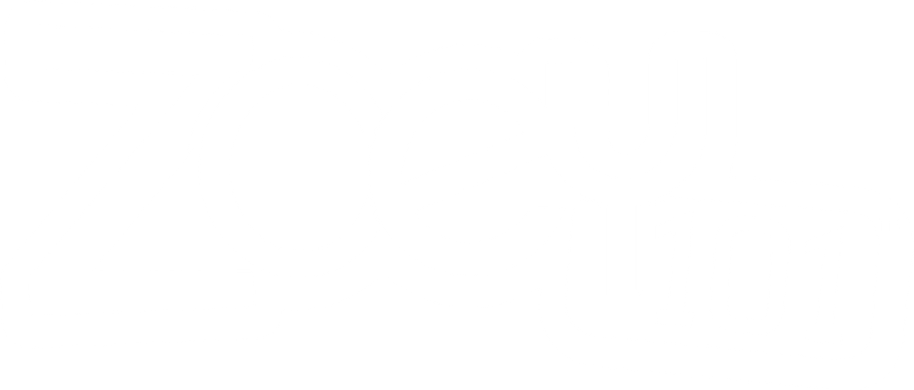 Зоуи 101