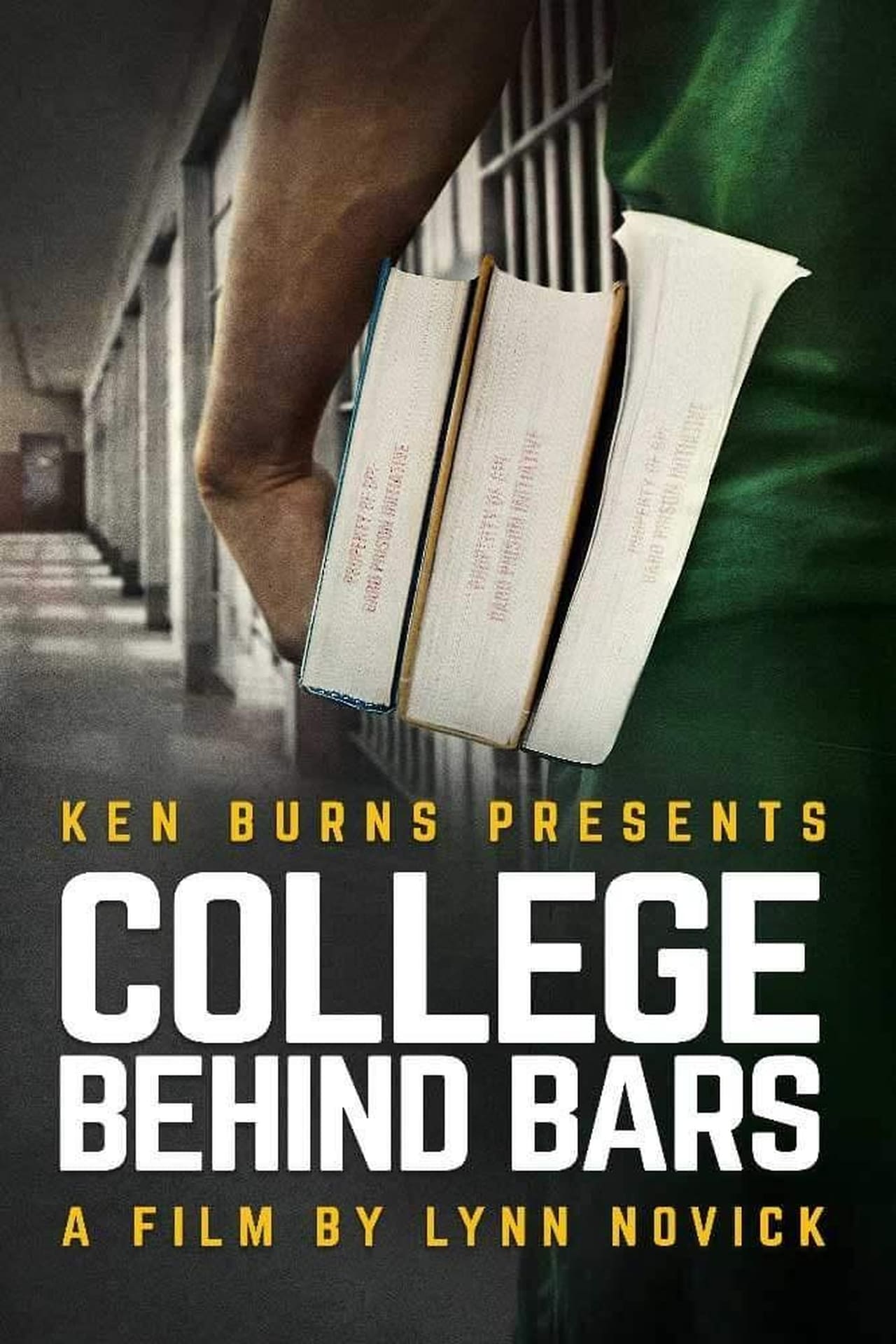 College Behind Bars (2019)