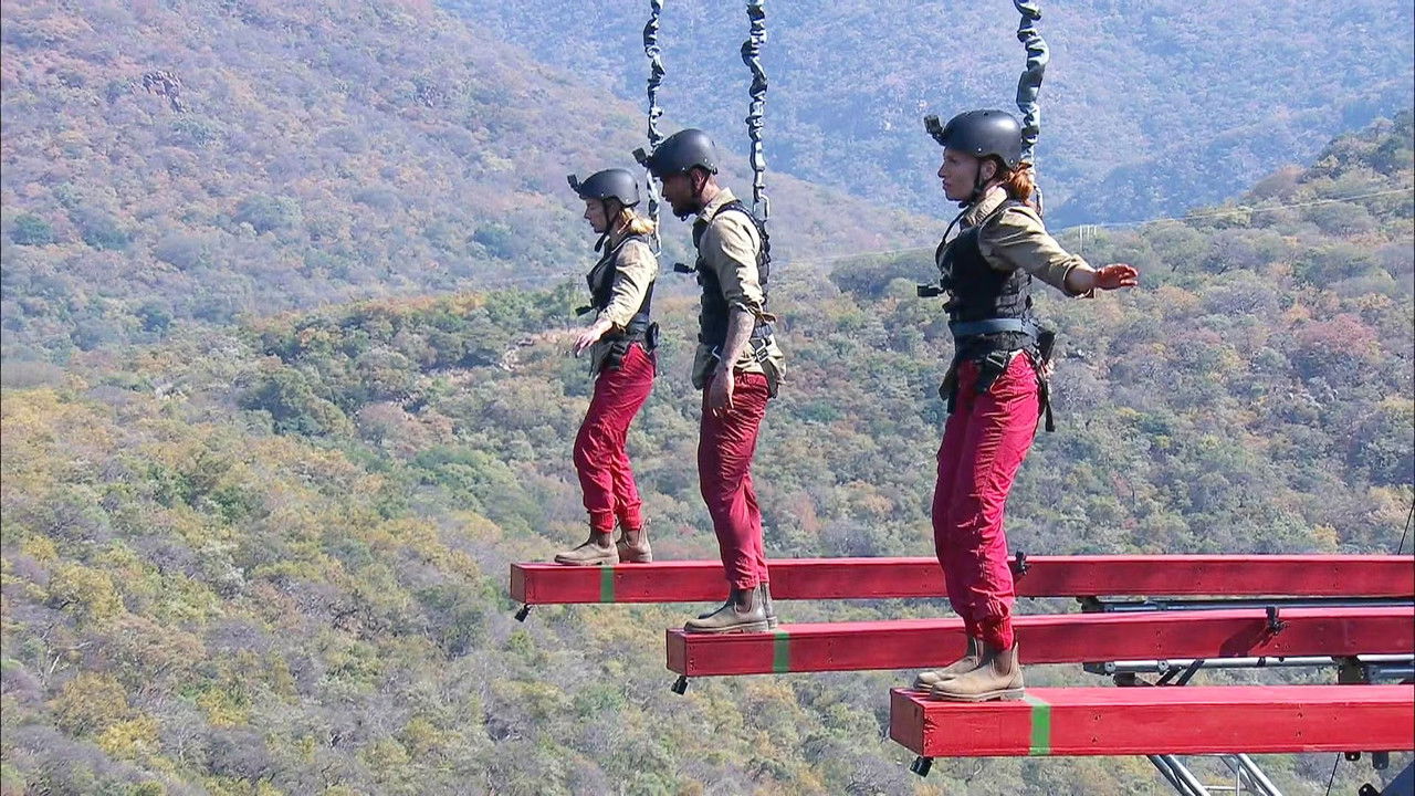 Ich bin ein Star – Showdown der Dschungel-Legenden — Épisode 16