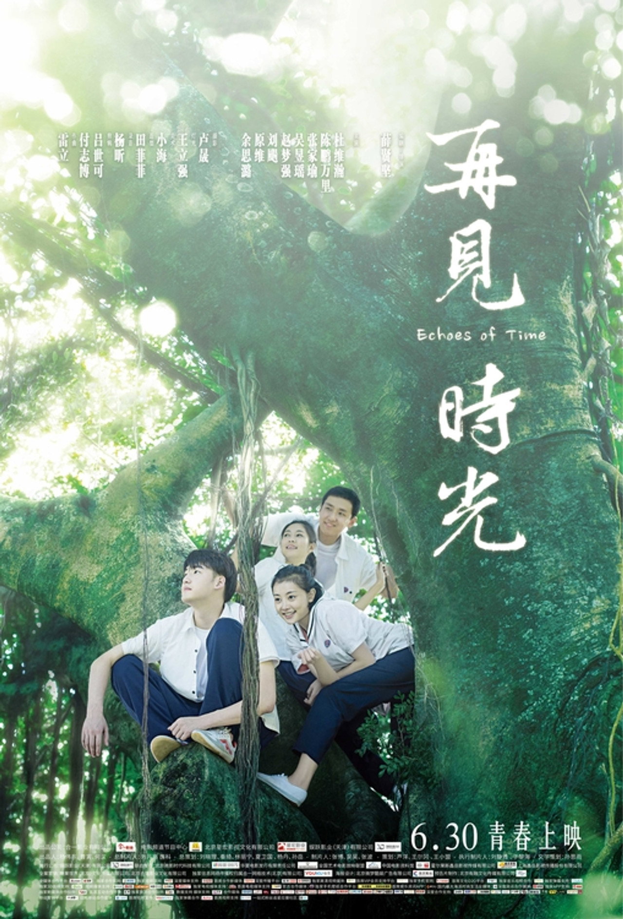 再见时光 filmaffisch
