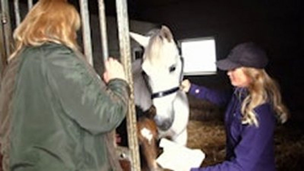 Forsidefruer — Épisode 1