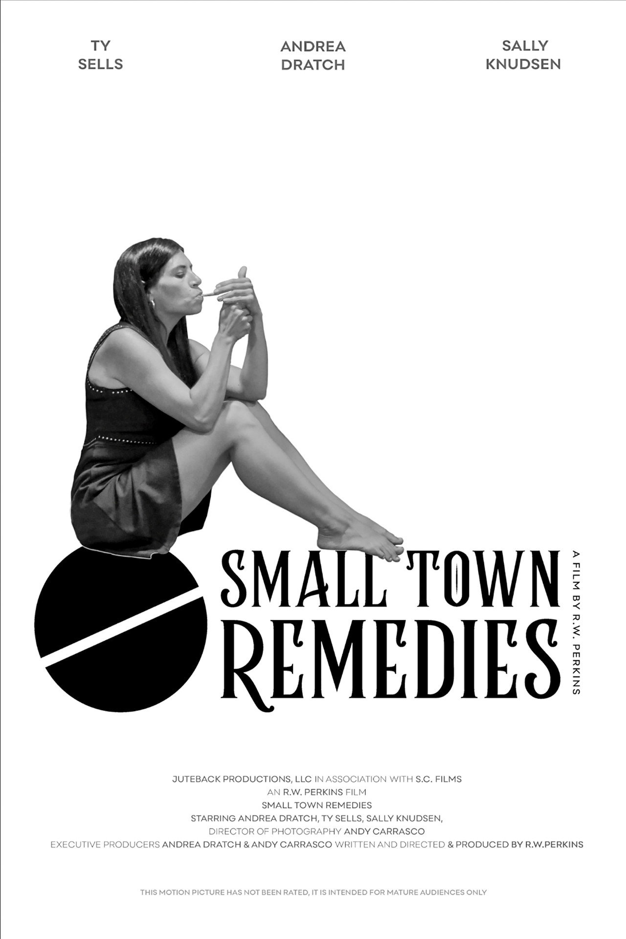 Small Town Remedies filmaffisch
