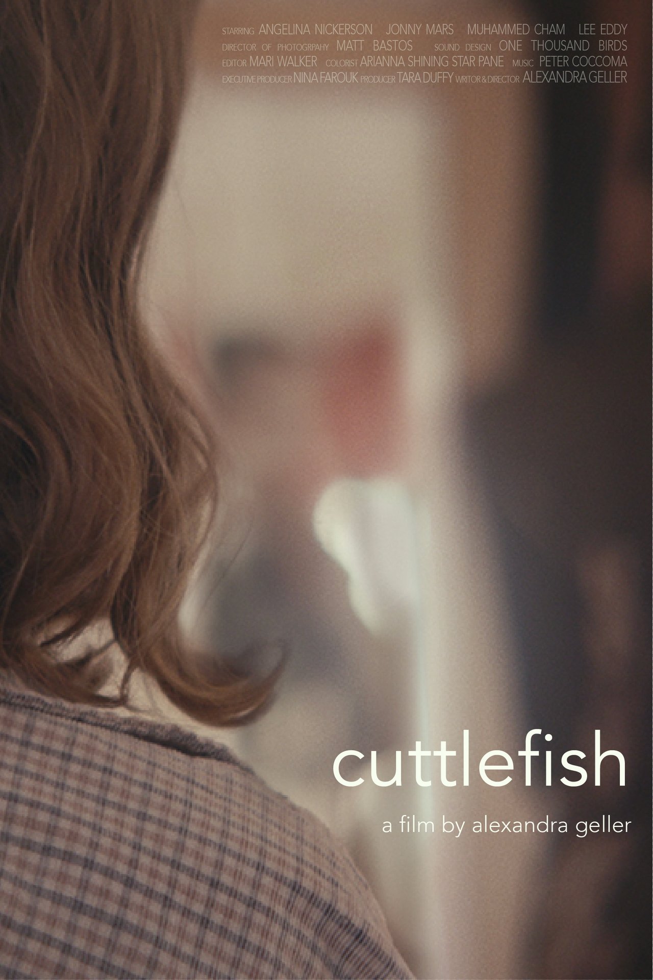 Cuttlefish Cuttlefish