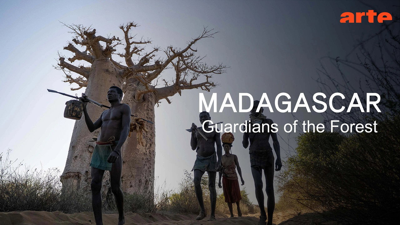 Madagascar: Guardians of the Forest
