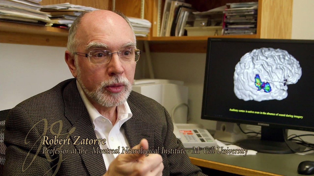 Inside a Virtuoso's Brain