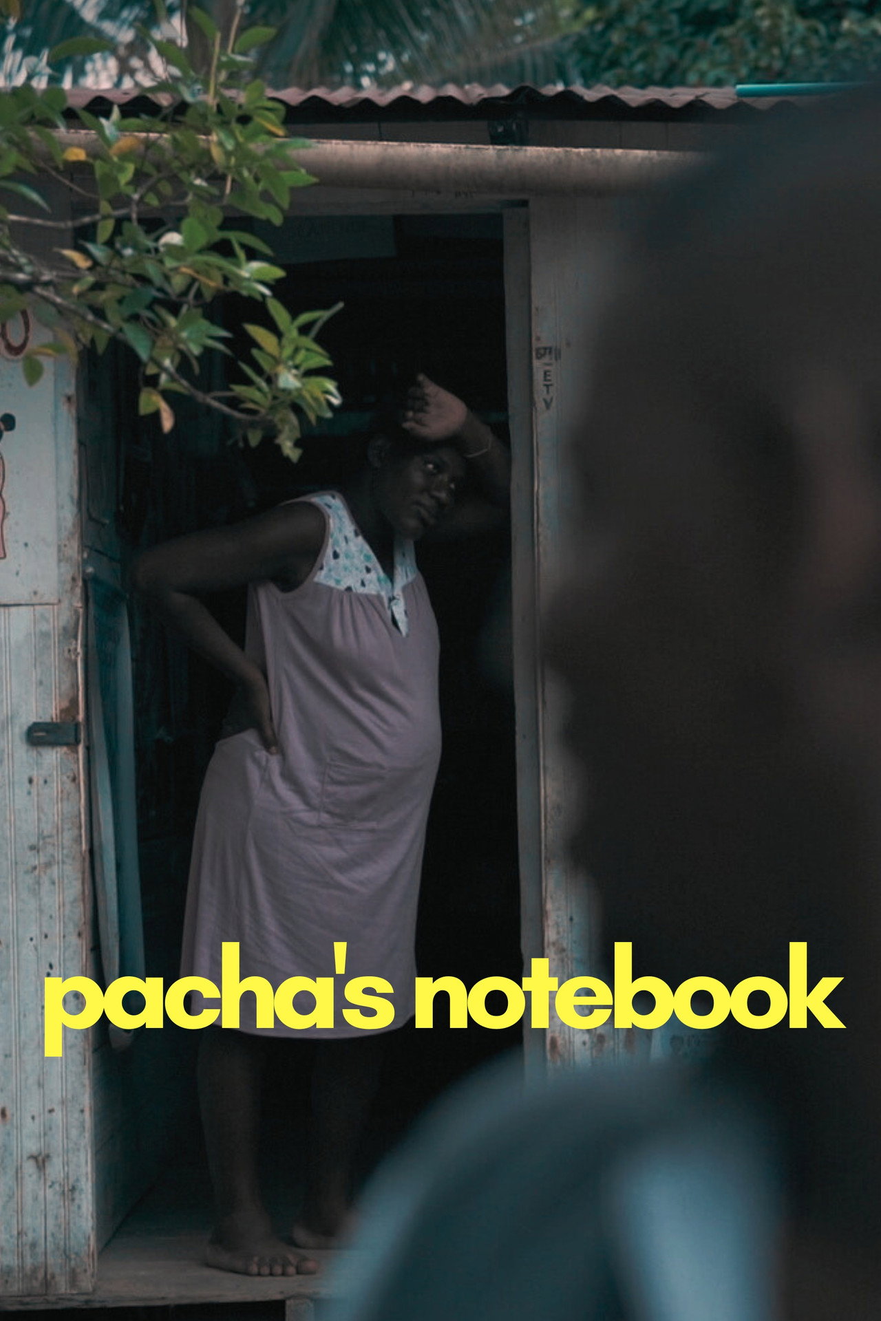 O Caderno de Pacha filmaffisch