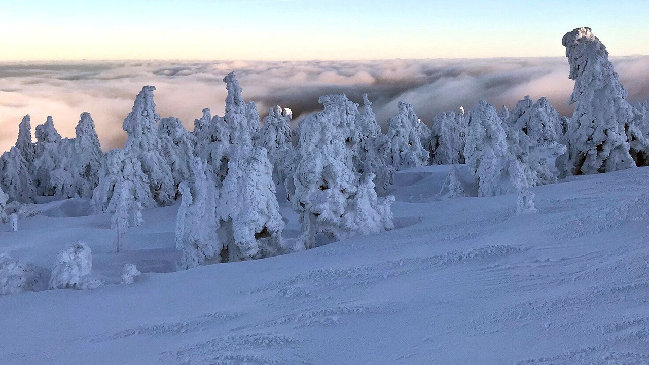 L'Allemagne sauvage — Épisode 2