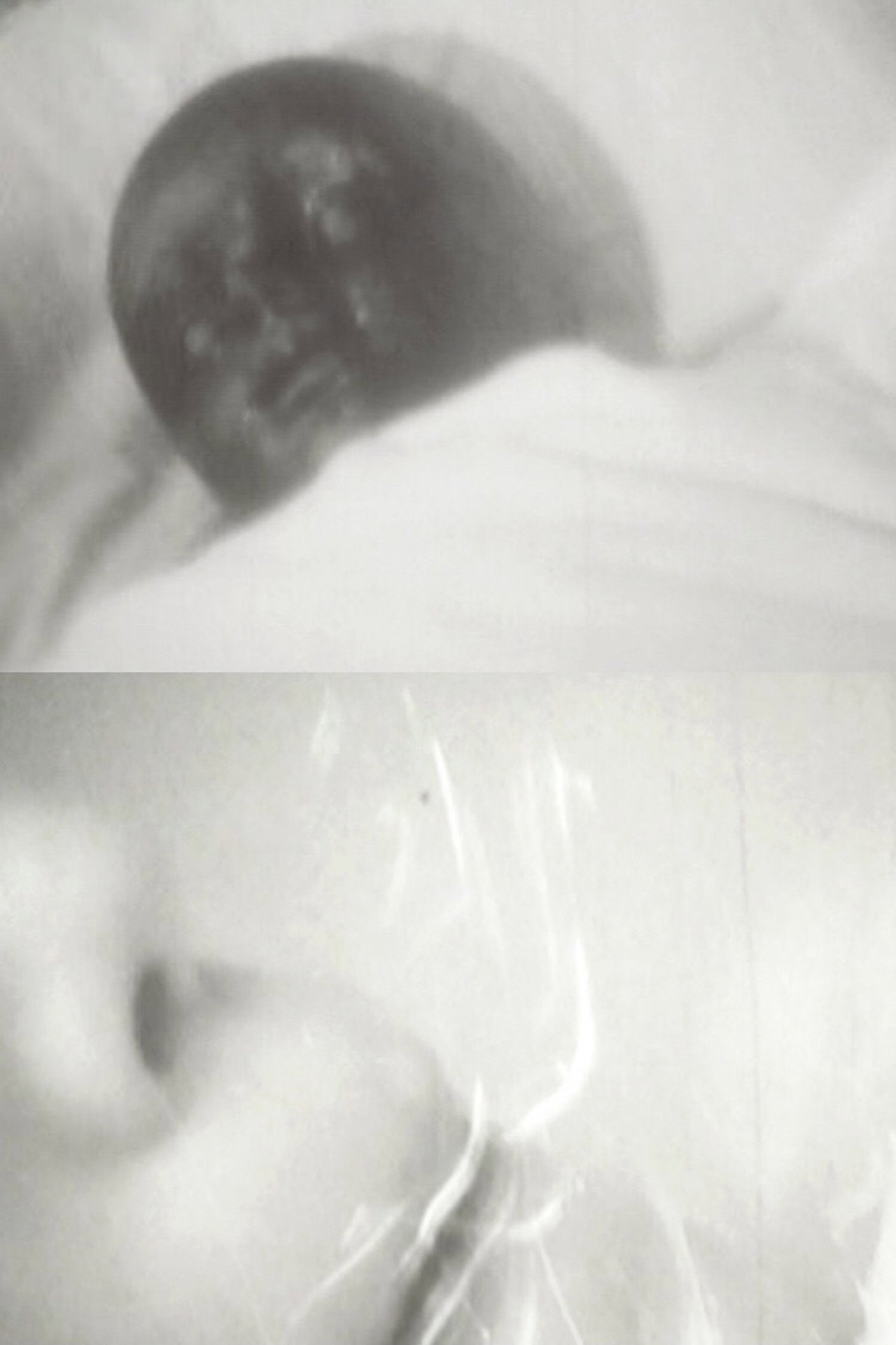 Lazy Virus Of The Afternoon filmaffisch