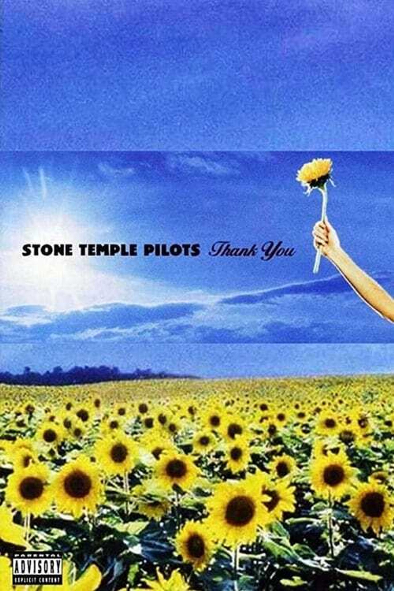 Stone Temple Pilots: Thank You - Live Performances filmaffisch