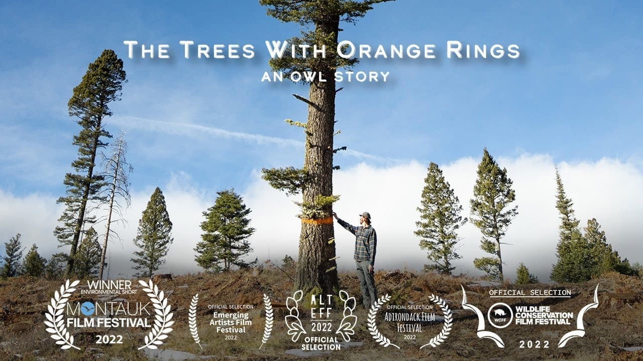 The Trees with Orange Rings (2022)