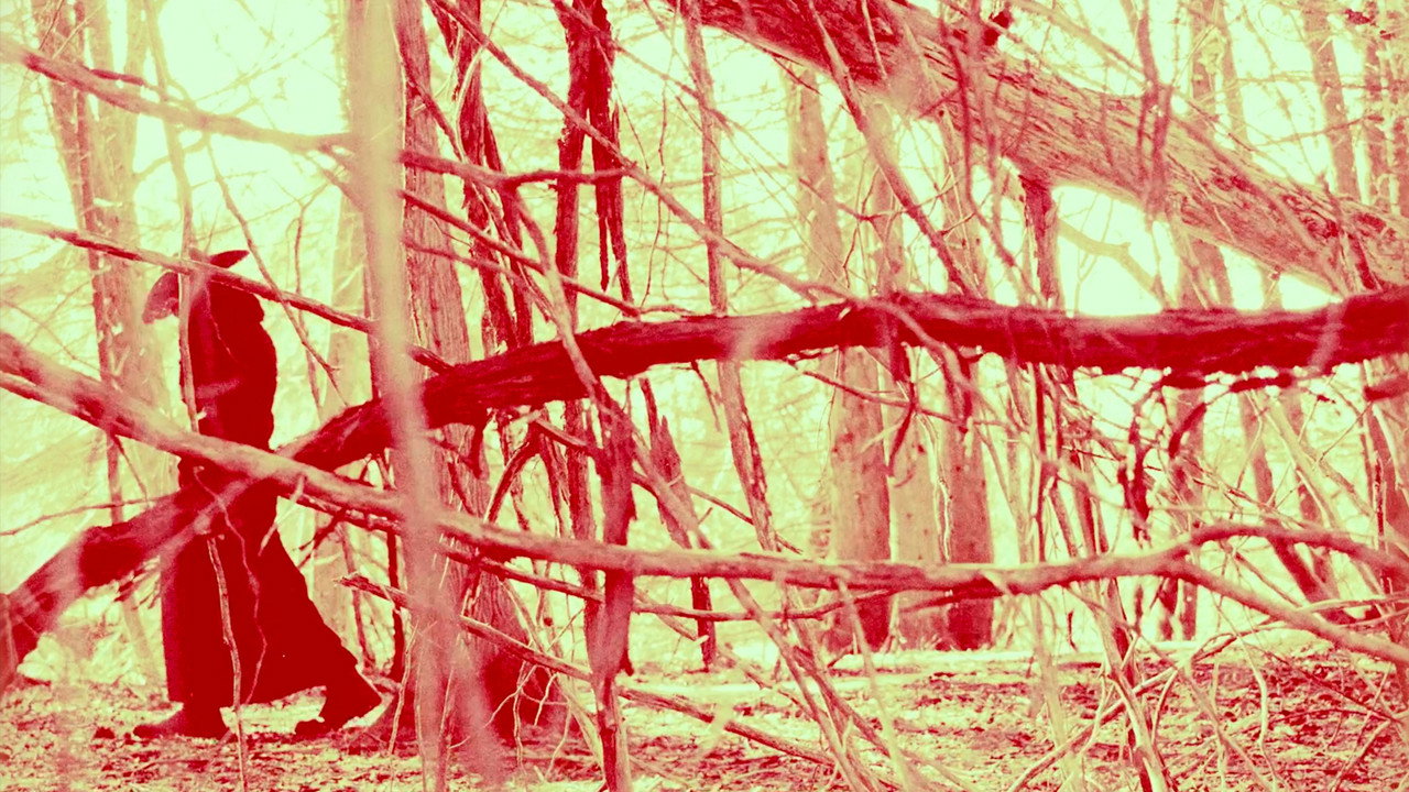 Cold Days From the Treetops