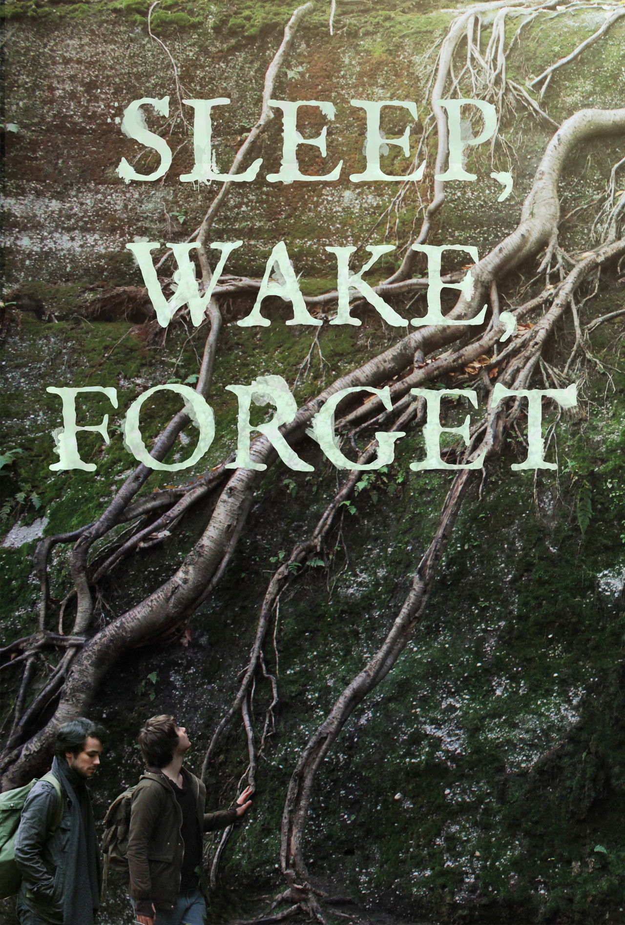 Sleep, Wake, Forget Backdrop