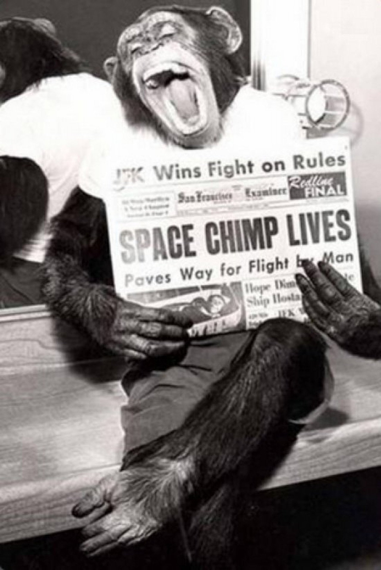 Spacechimp filmaffisch