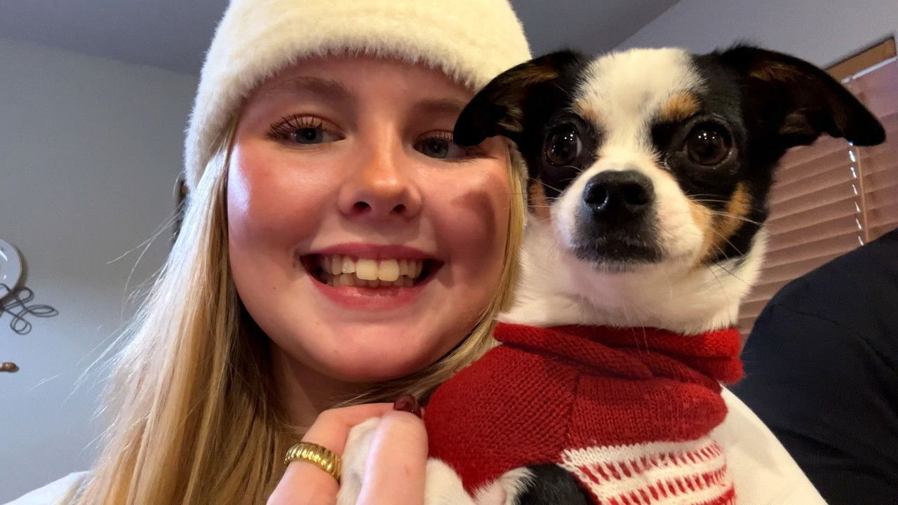 Ett år i USA backdrop