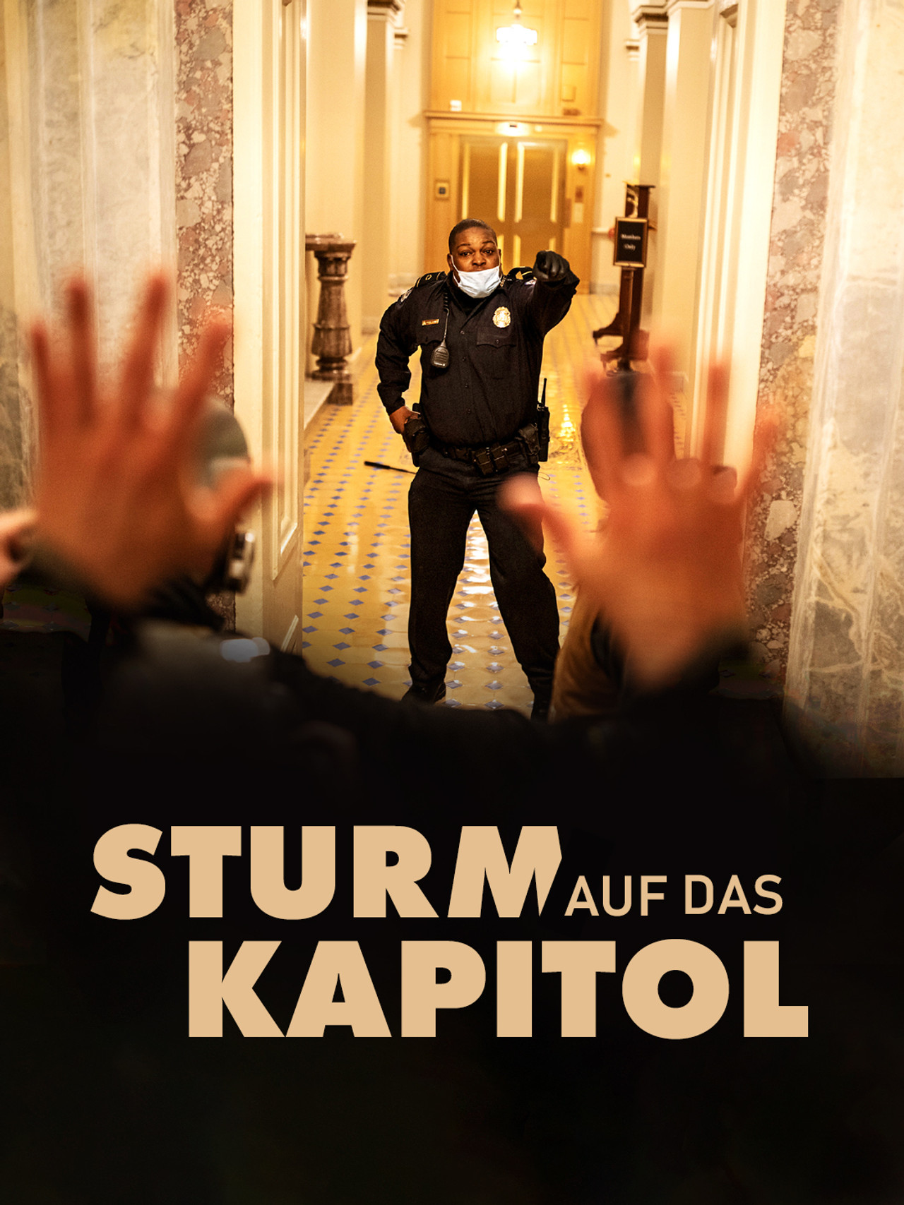Sturm auf das Kapitol